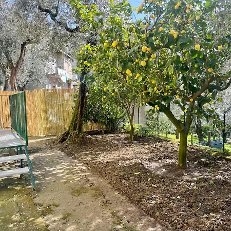 Bed & Breakfast Realty Holidays - The Smile Of The Sun 3*