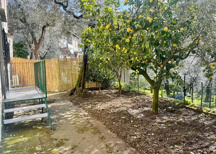 Bed & Breakfast Realty Holidays - The Smile Of The Sun 3*