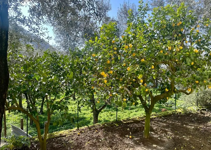 Bed & Breakfast Realty Holidays - The Smile Of The Sun Sorrento